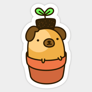 Sprout the pug Sticker